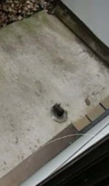 その他設備　洗濯機置き場