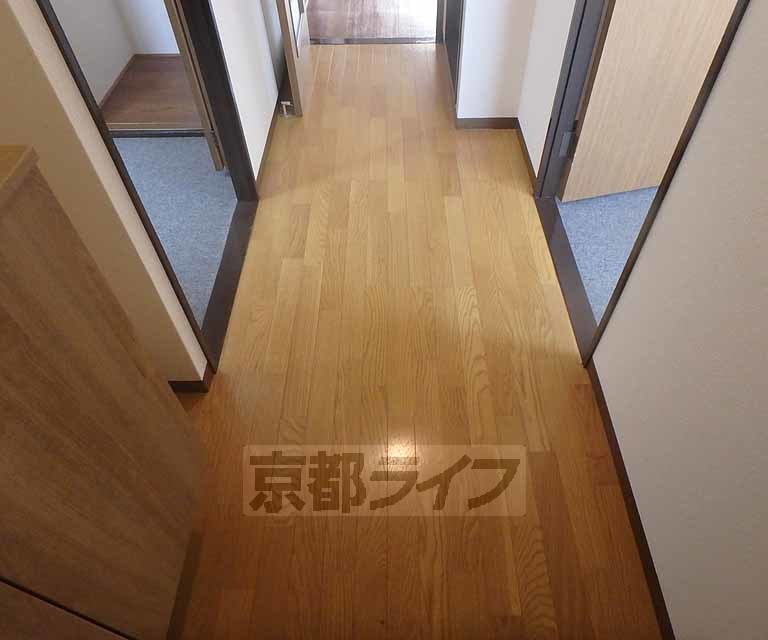 その他部屋・スペース　玄関から廊下にかけて