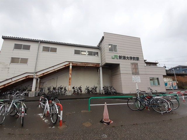 その他　新潟大学前駅（その他）まで400m