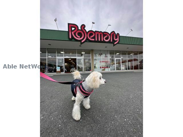 ホームセンター　マツヤデンキ岩田店（ホームセンター）まで2123m