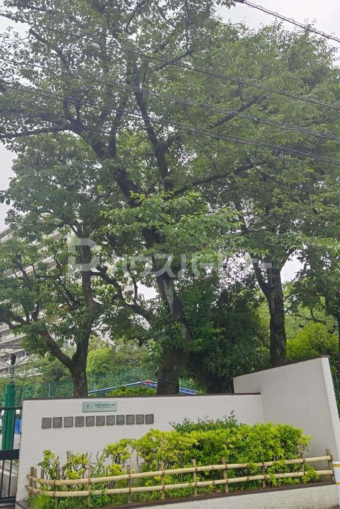 小学校　板橋区立緑小学校（小学校）まで390m