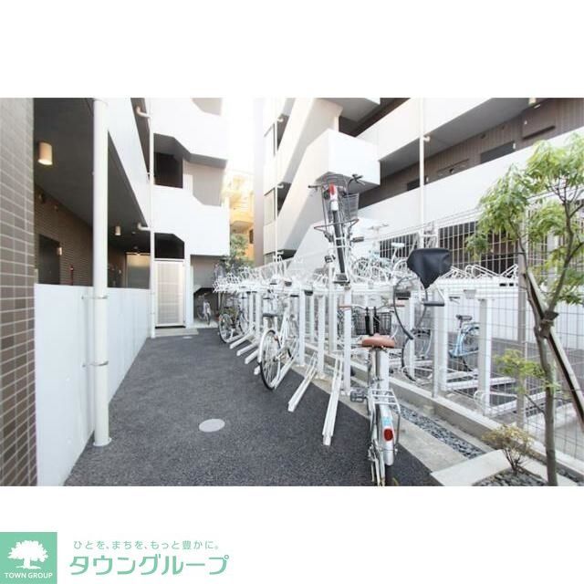 庭