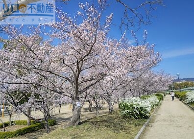 公園　瑞ケ池公園（公園）まで1969m