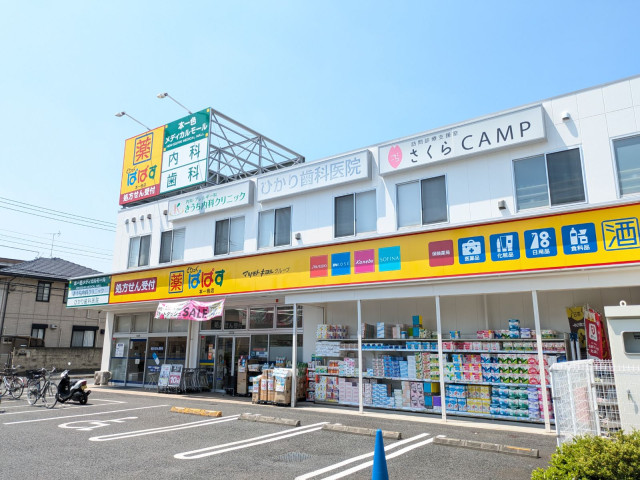 ドラックストア　どらっぐぱぱす本一色店（ドラッグストア）まで450m