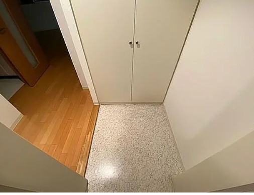 玄関　写真は同タイプ住居です。