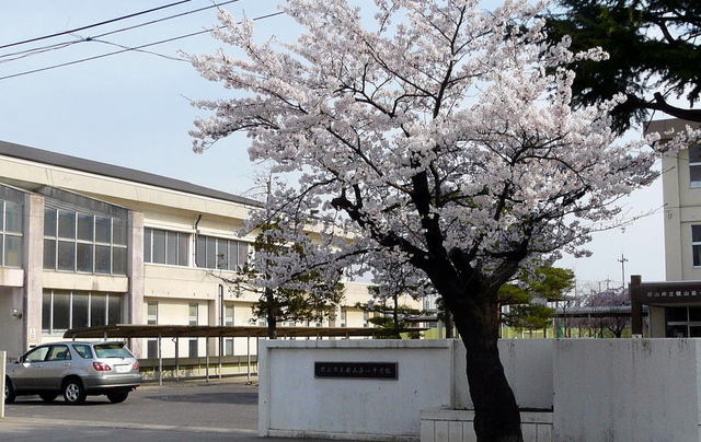 中学校　郡山市立郡山第一中学校（中学校）まで1752m