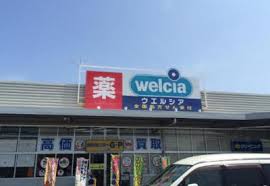 ドラックストア　ウエルシア蕨塚越店（ドラッグストア）まで355m