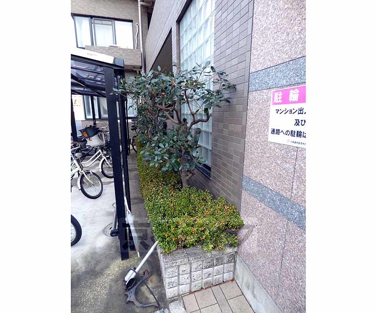 庭