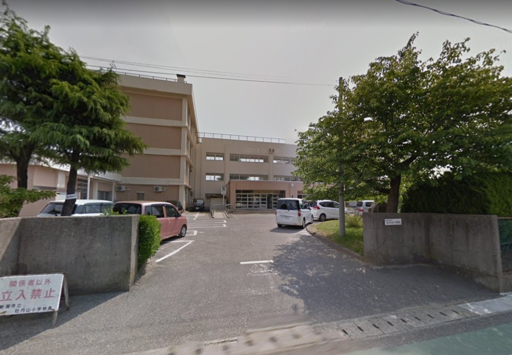小学校　新潟市立牡丹山小学校（小学校）まで787m