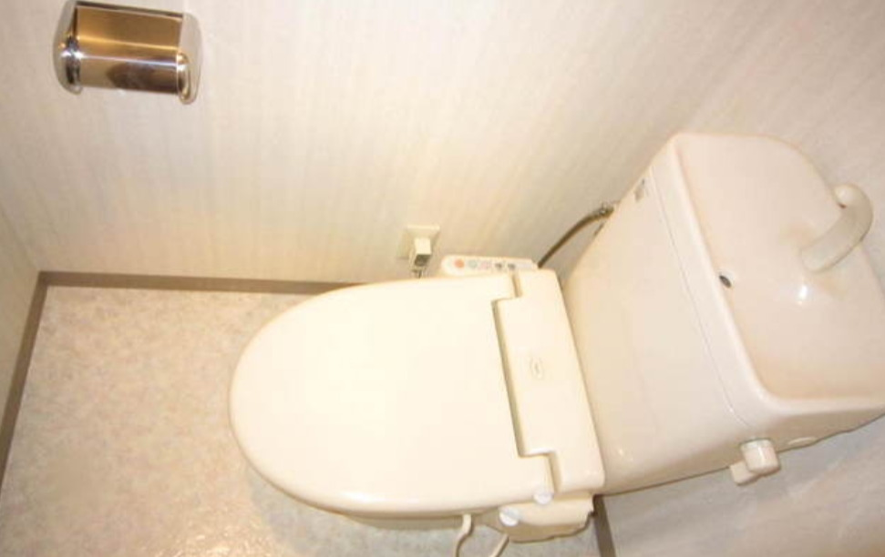 トイレ　別タイプ部屋　参考写真です