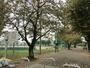 公園　美濃町公園（公園）まで601m
