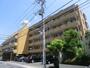 柴又Ｓ，Ｔマンション 1階 築40年3ヶ月の賃貸物件