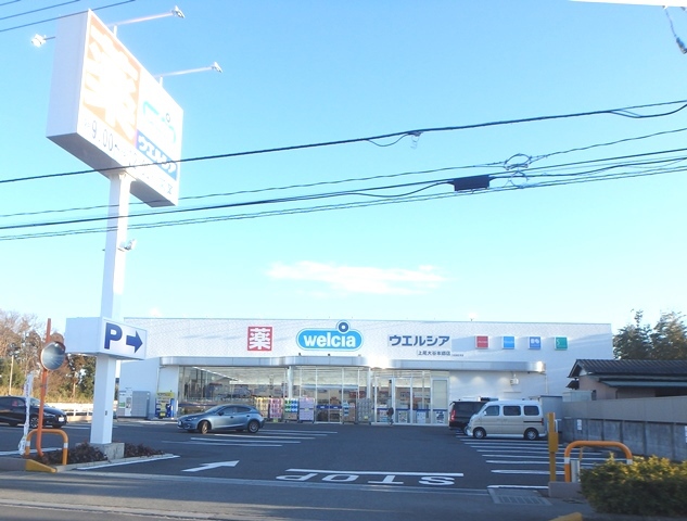 ドラックストア　ウエルシア大谷本郷店（ドラッグストア）まで692m