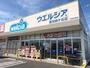 ドラックストア　ウエルシア豊田緑ケ丘店（ドラッグストア）まで1214m