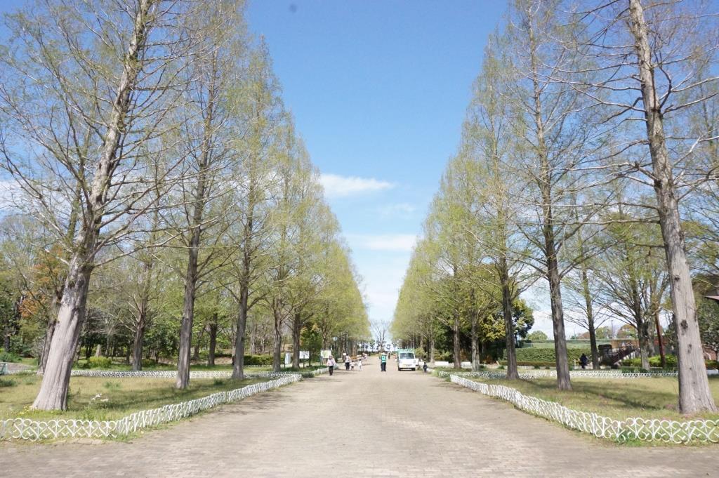 公園　そうか公園（公園）まで486m