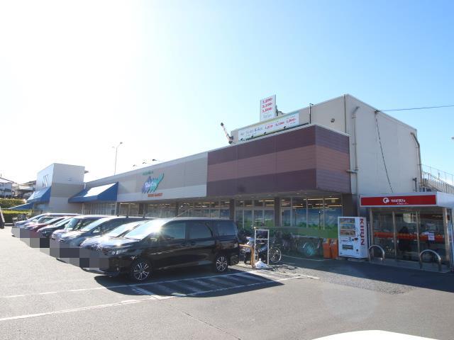 スーパー　セレクション青葉台店（スーパー）まで481m