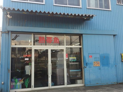その他　ロイヤルクィーン中川店（その他）まで241m