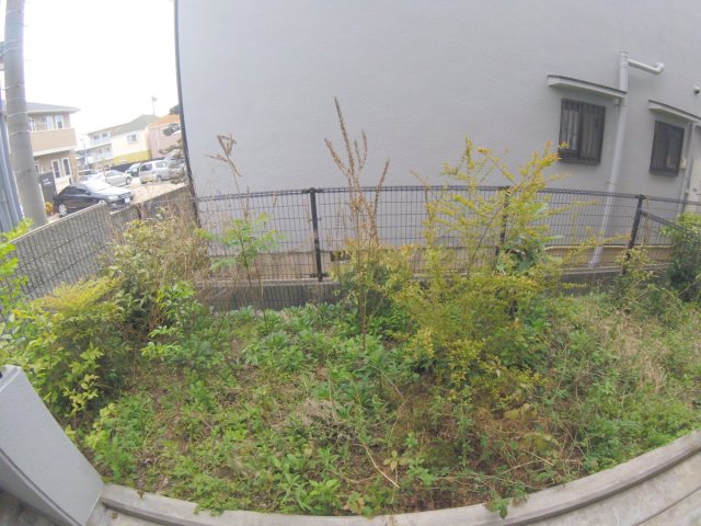 庭