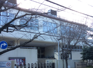 小学校　港区立本村小学校（小学校）まで295m