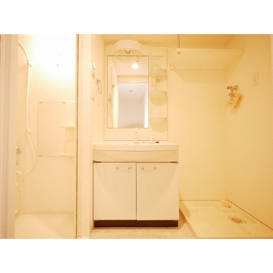 洗面設備　別部屋の写真です。