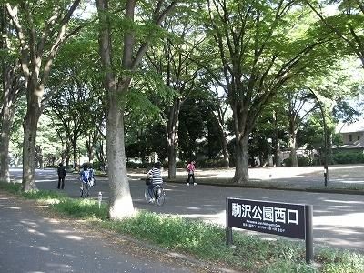公園　世田谷公園（公園）まで357m