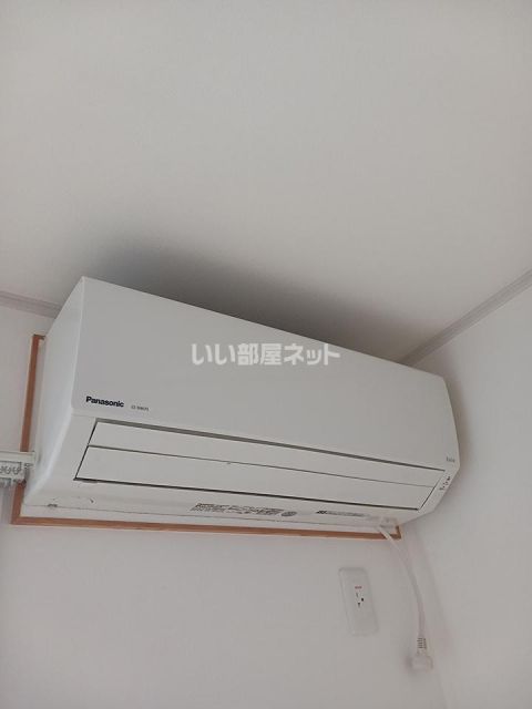 アレグリアのその他写真