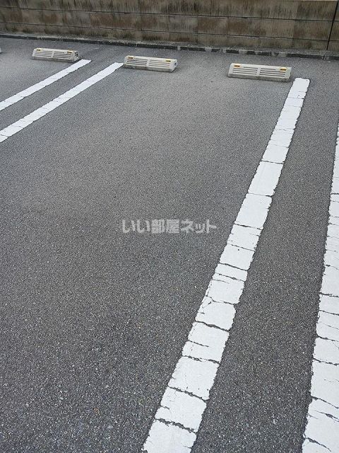 アレグリアのその他写真