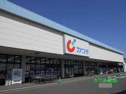 ドラックストア　カワチ薬品 藤代店（ドラッグストア）まで842m