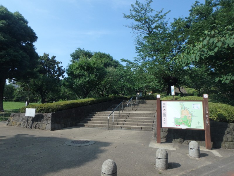 公園　羽根木公園（公園）まで600m