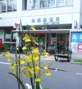 郵便局　巣鴨郵便局（郵便局）まで408m