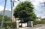 中学校　大津市立粟津中学校（中学校）まで1282m