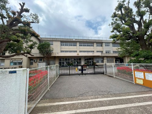 小学校　柏市立酒井根東小学校（小学校）まで676m