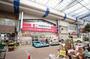 ドラックストア　ココカラファイン本町通店（ドラッグストア）まで529m