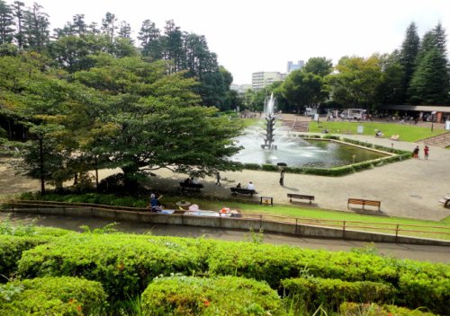 公園　世田谷公園（公園）まで1245m