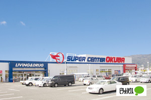 スーパー　スーパーセンターオークワ有田川店（スーパー）まで794m