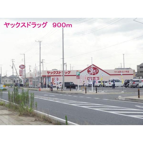その他　ヤックスドラッグ（その他）まで900m
