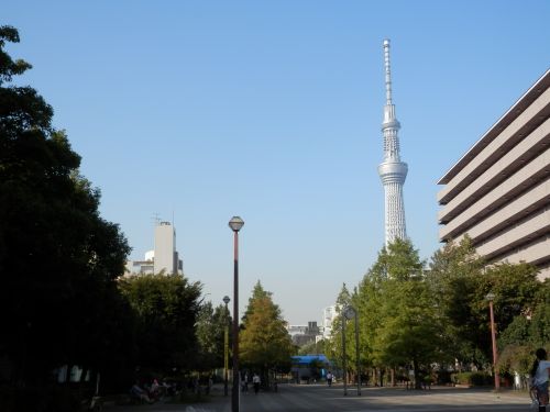 公園　大横川親水公園（公園）まで424m