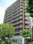 建物外観　管理も行き届いたマンション