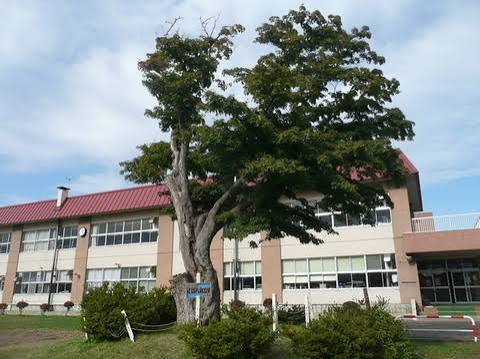 小学校　弘前市立松原小学校（小学校）まで934m
