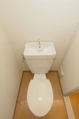 タウンハイツ白金のトイレ写真