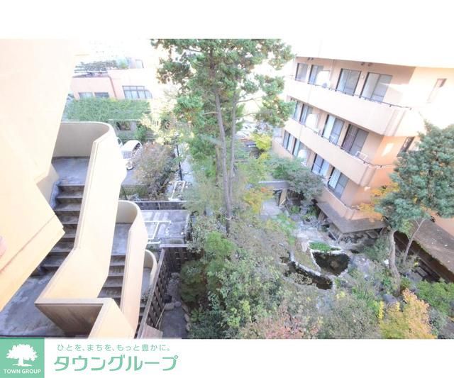 庭