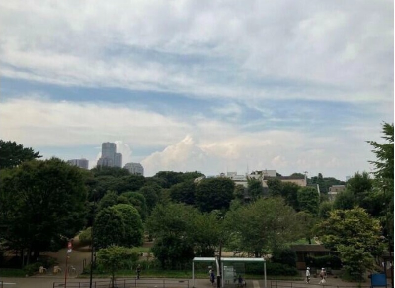 眺望