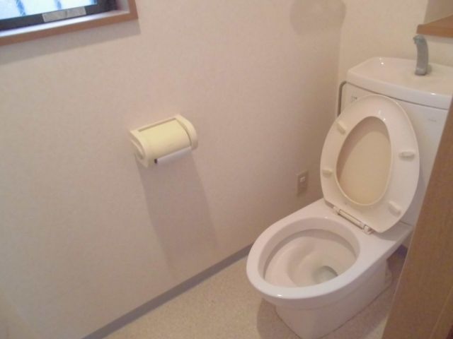 クリーンハイツ豊玉1号棟のトイレ写真