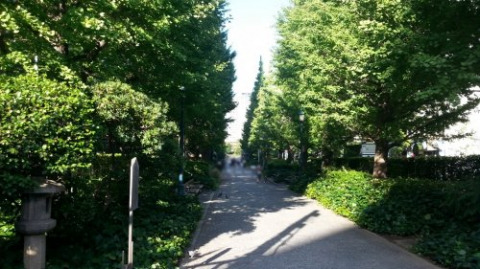 公園　日本橋浜町公園（公園）まで490m