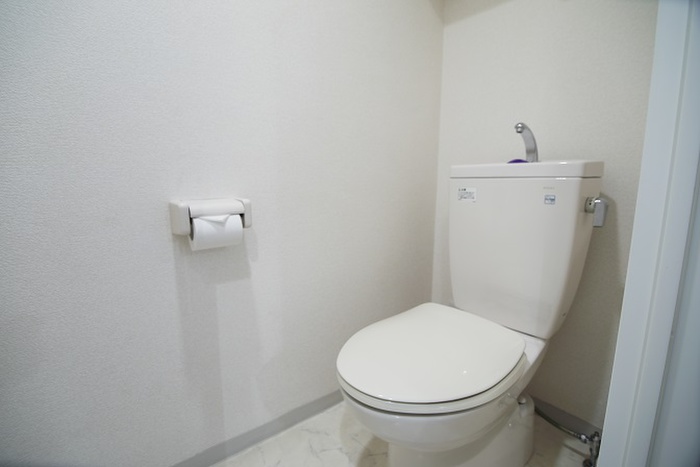 プレ-ルドゥ-ク銀座EASTのトイレ写真