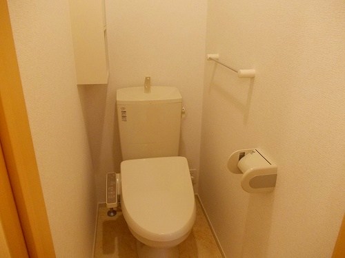 テール・リュミエール 2のトイレ写真