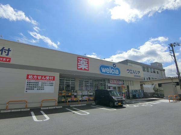 ドラックストア　ウエルシア長野三輪店（ドラッグストア）まで350m