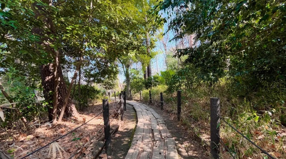 公園　駒場野公園（公園）まで1154m