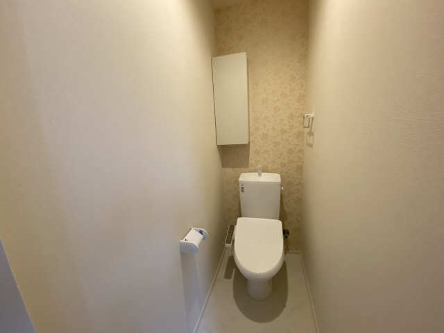 名鉄河和線 知多半田駅 徒歩11分 2階建 築5年のトイレ写真