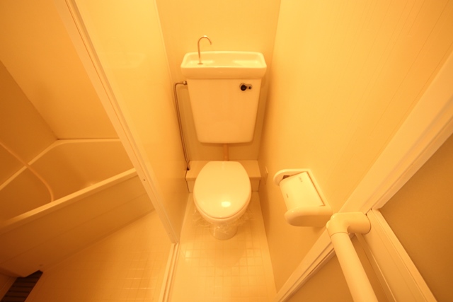 メゾン甲子園EASTのトイレ写真